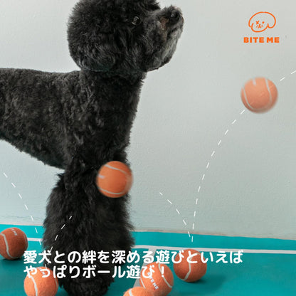 テニスボールのおもちゃ（３個入り)