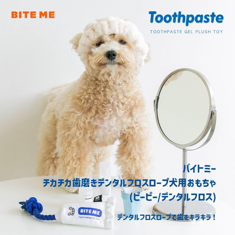 歯磨き粉 ロープ おもちゃ