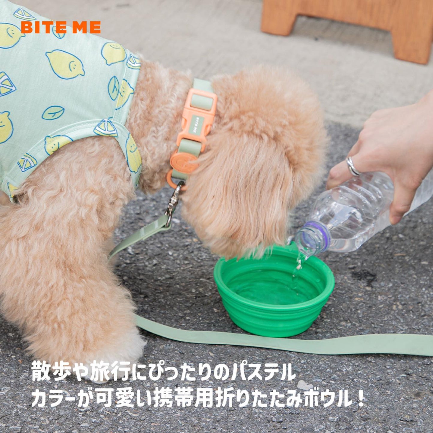 携帯用折りたたみ　ボウルパステル