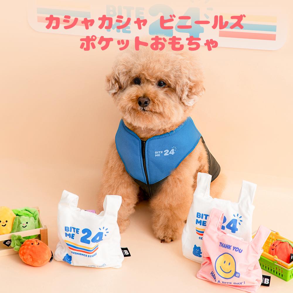 カシャカシャ ビニールズ ポケットおもちゃ