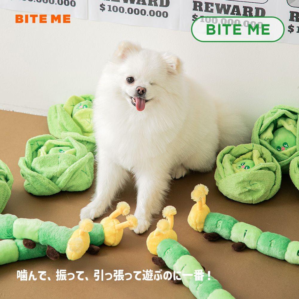 あおむしおもちゃ