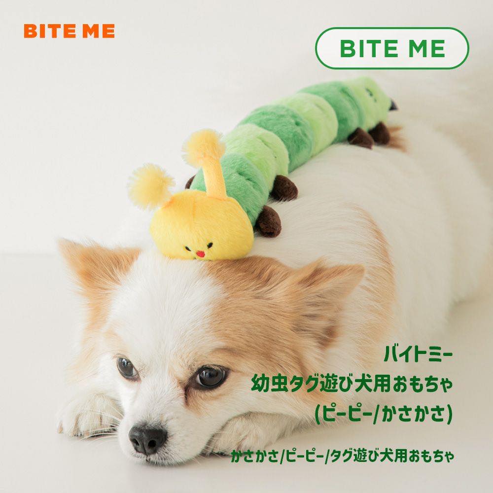 あおむしおもちゃ